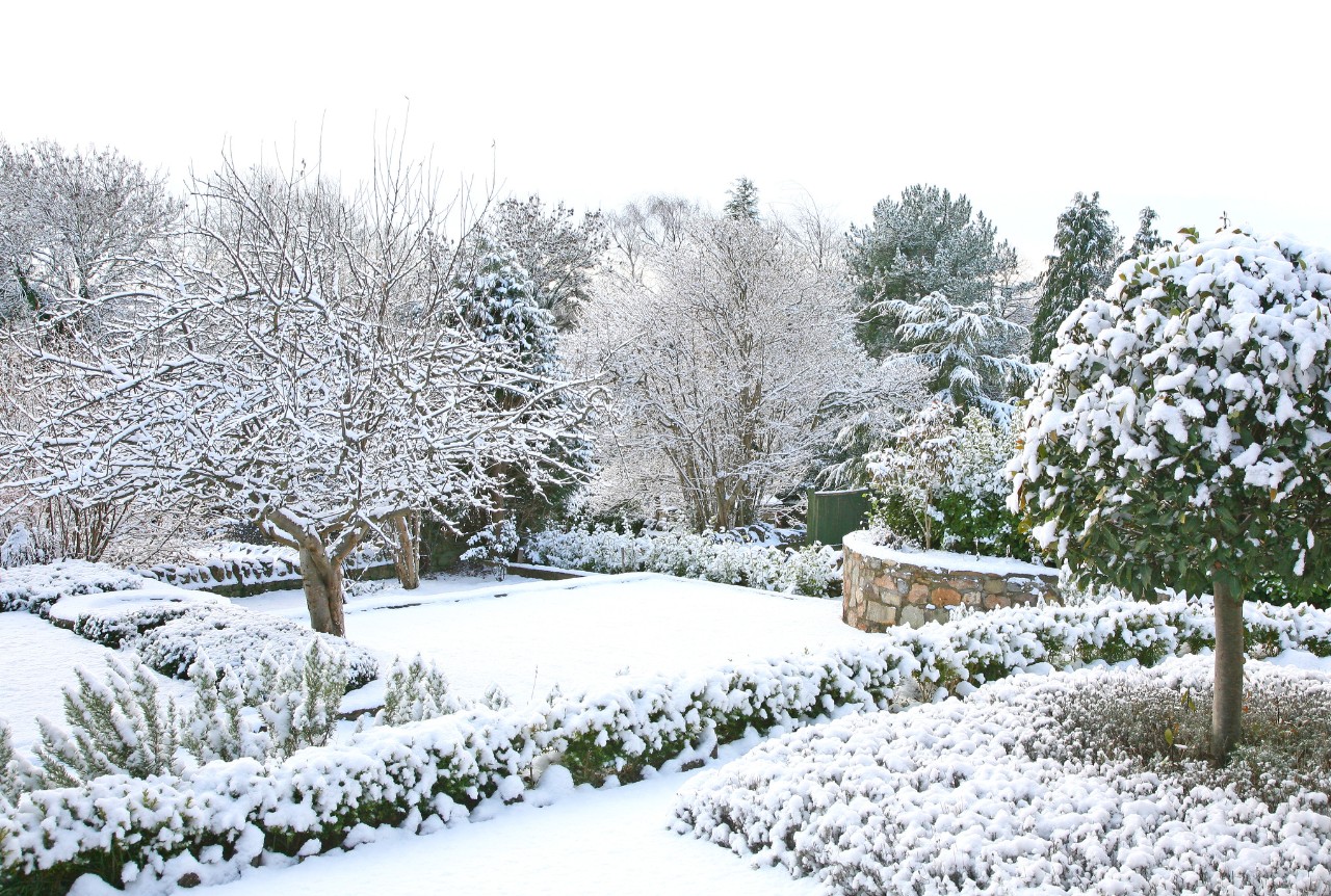 snow covered suburban garden