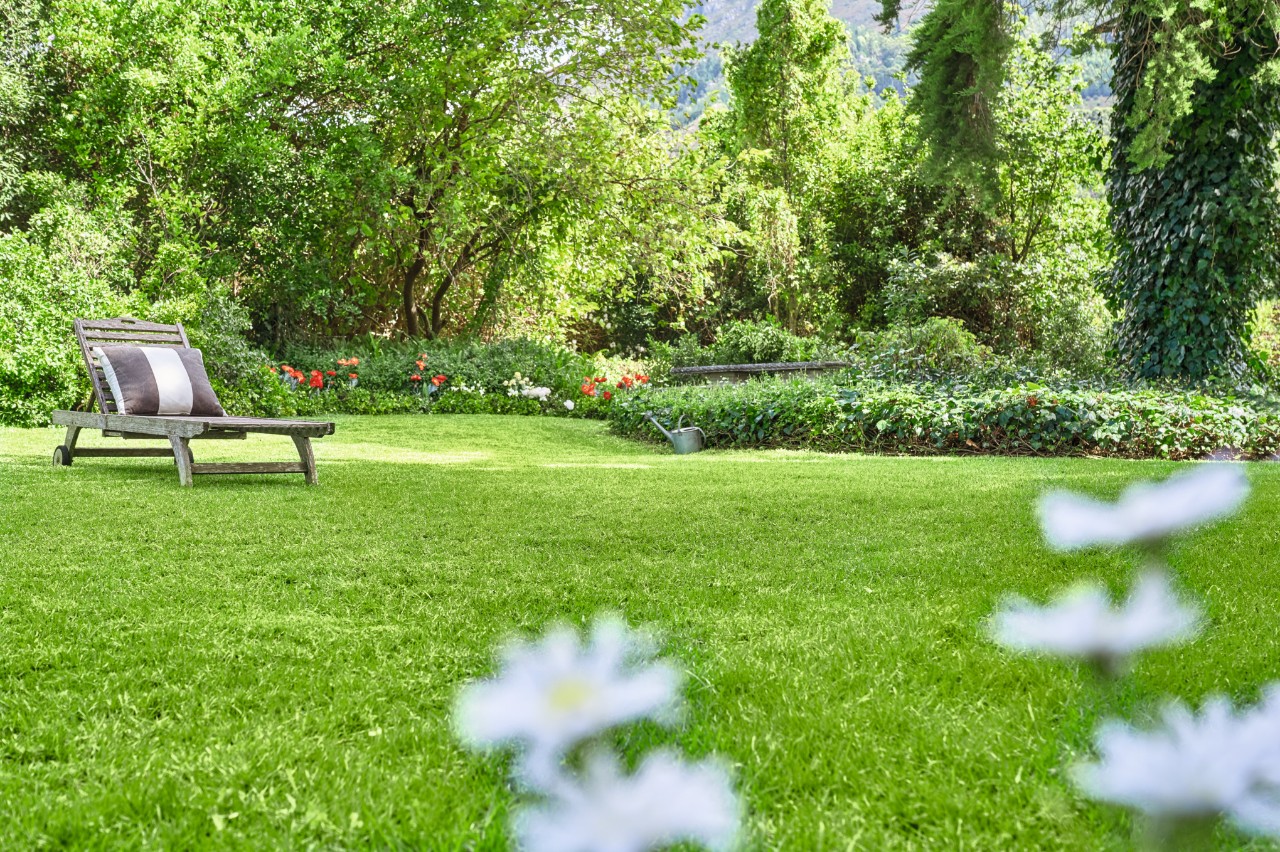 Summer garden with lush lawn