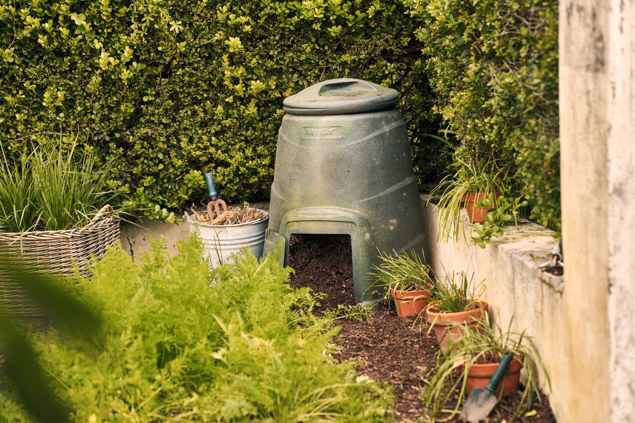 Compost bin