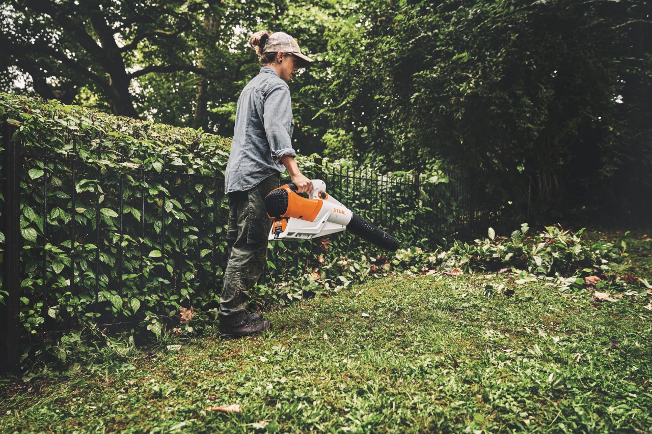 Clearing debris from lawn in hedge lined garden with STIHL BGA 250 handheld leaf blower