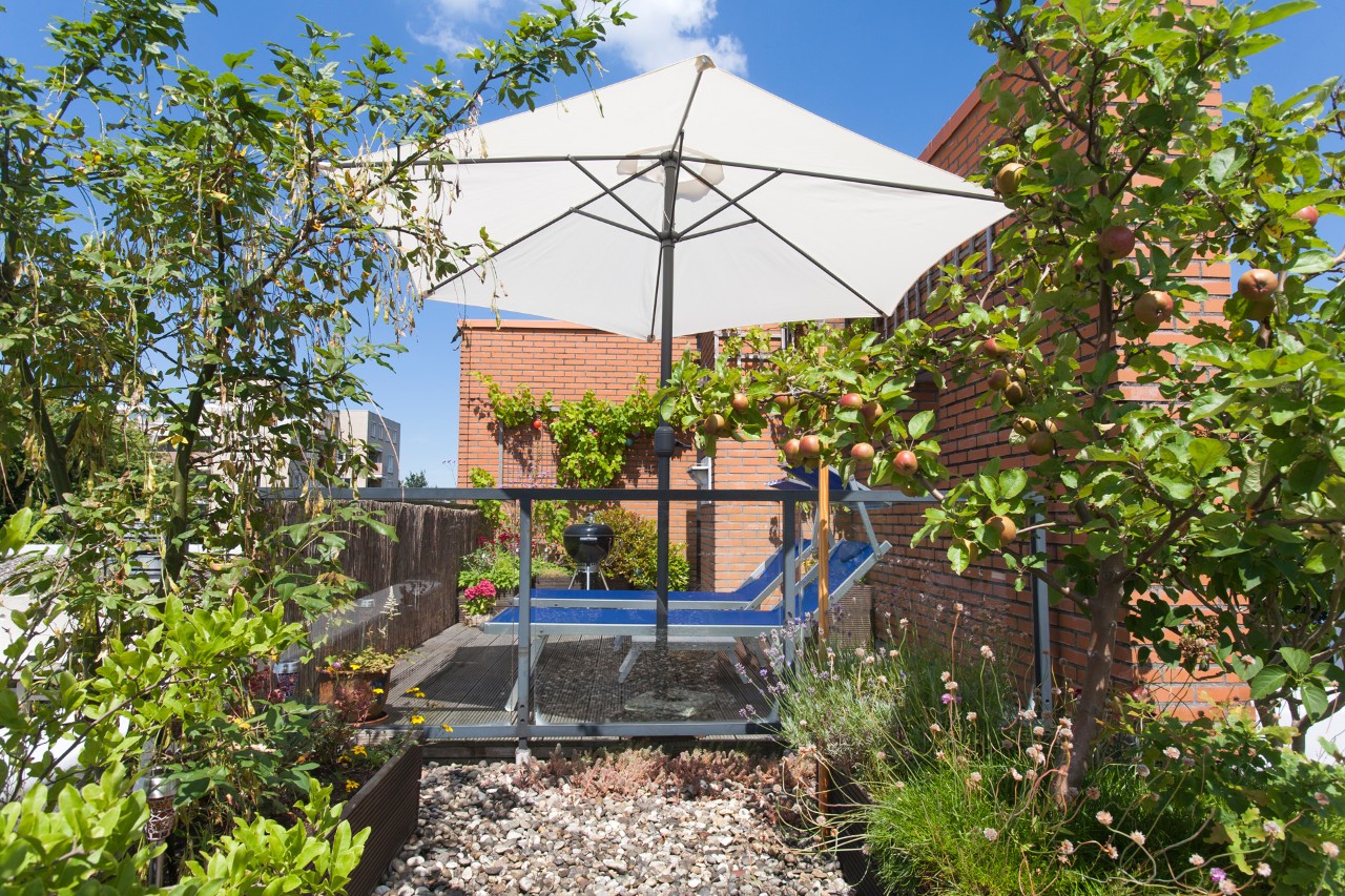 Roof terrace scene with apple tree, parasol and recliner in front of a red brick wall