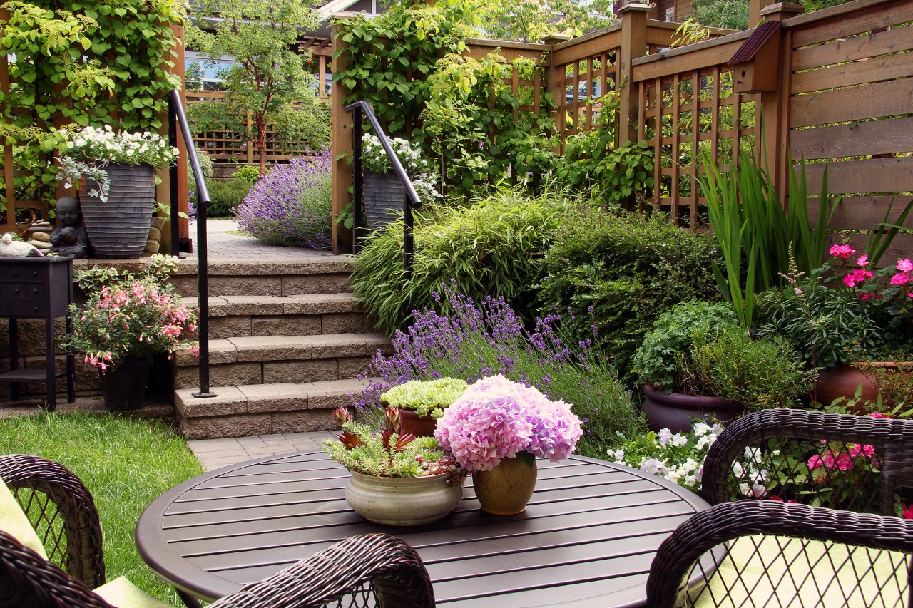 Small garden filled with many plants and shrubs with outdoor furniture in front and stone steps leading up to the back.