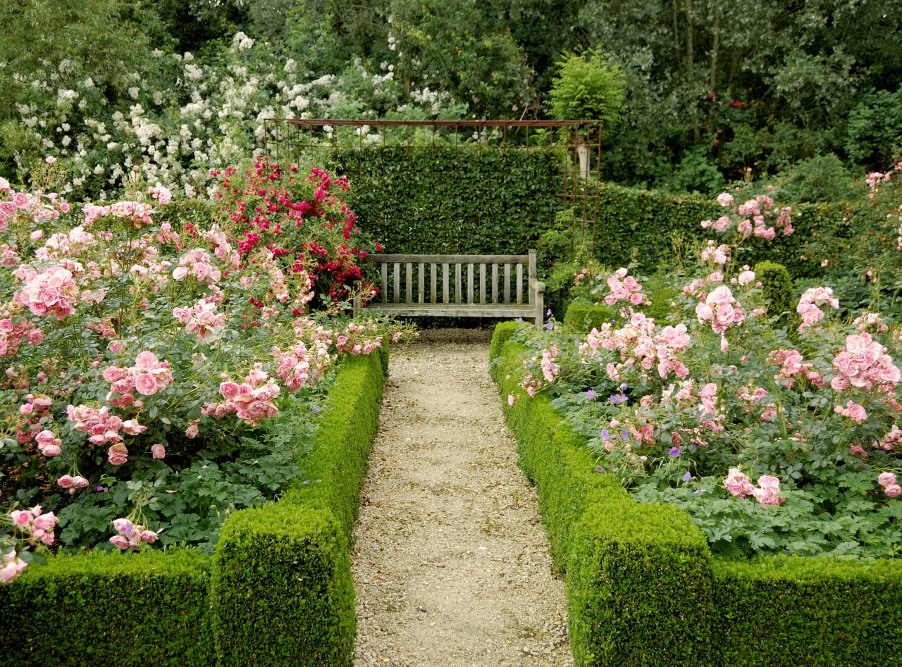 Romantic small garden with rose beds, trimmed box trees, surrounded by a hornbeam hedge, wooden bench.