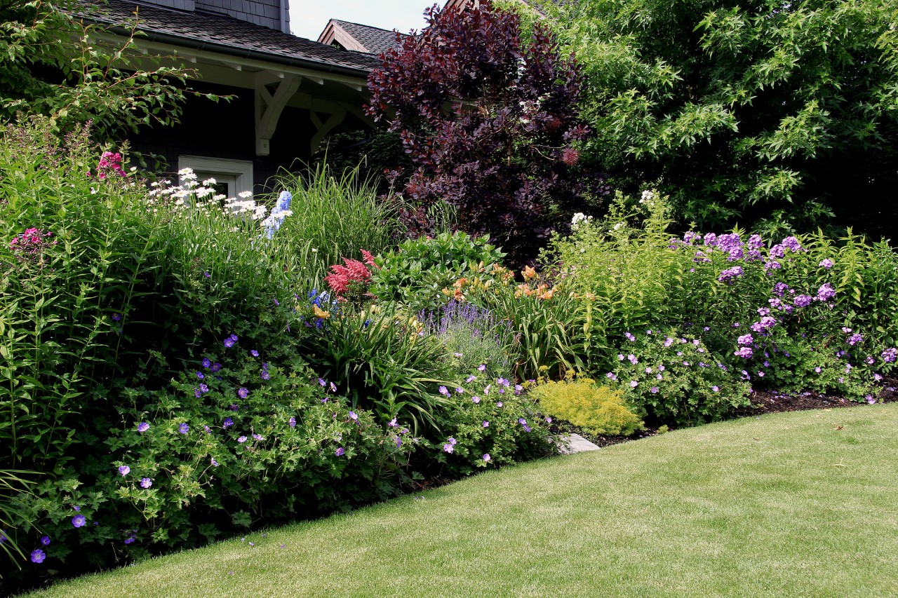 Small garden design with lawn at the front, densely planted area of shrubs with a view of the neighbouring garden.
