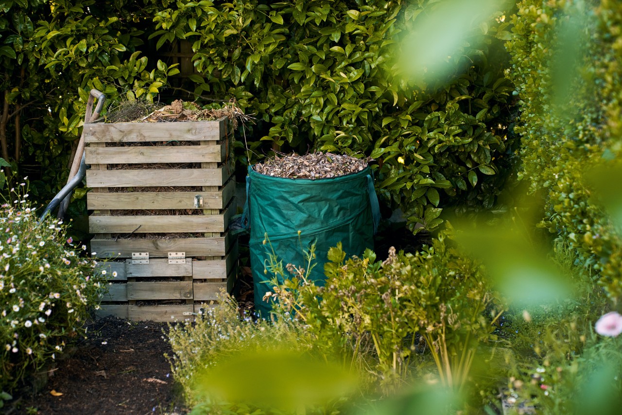 A sack of leaves next to a wooden compost bin with a green hedge behind