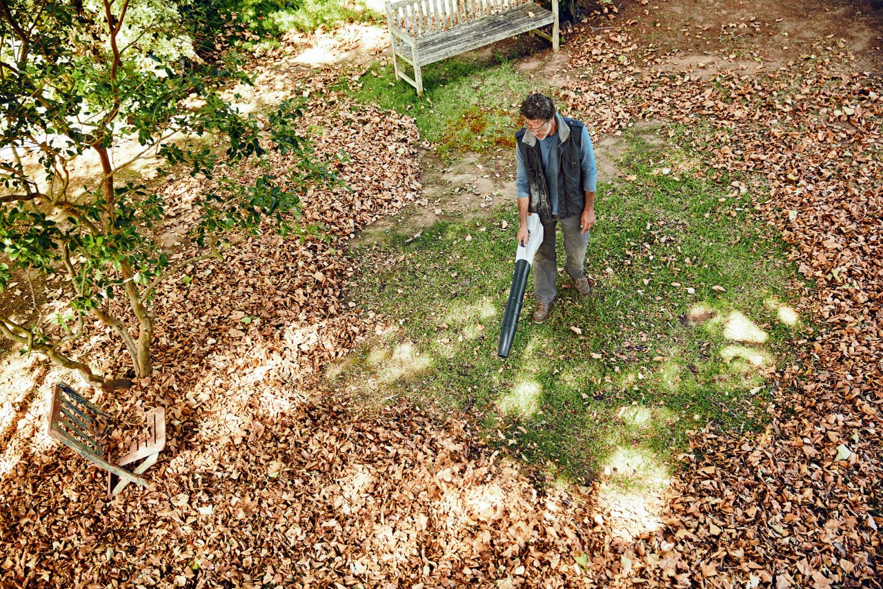  Overhead shot of a man using a STIHL BGA 56 cordless leaf blower on a large lawn covered with leaves