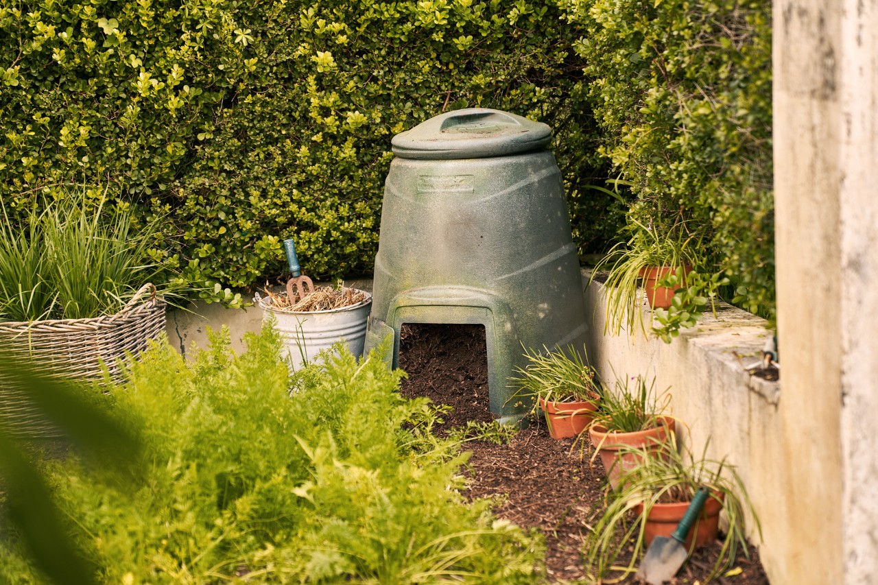 Hot compost bin in the corner of a planting bed in front of a hedge