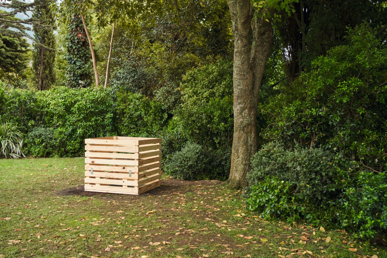 DIY wooden compost bin on a garden plot, with a dense hedge and trees in the background