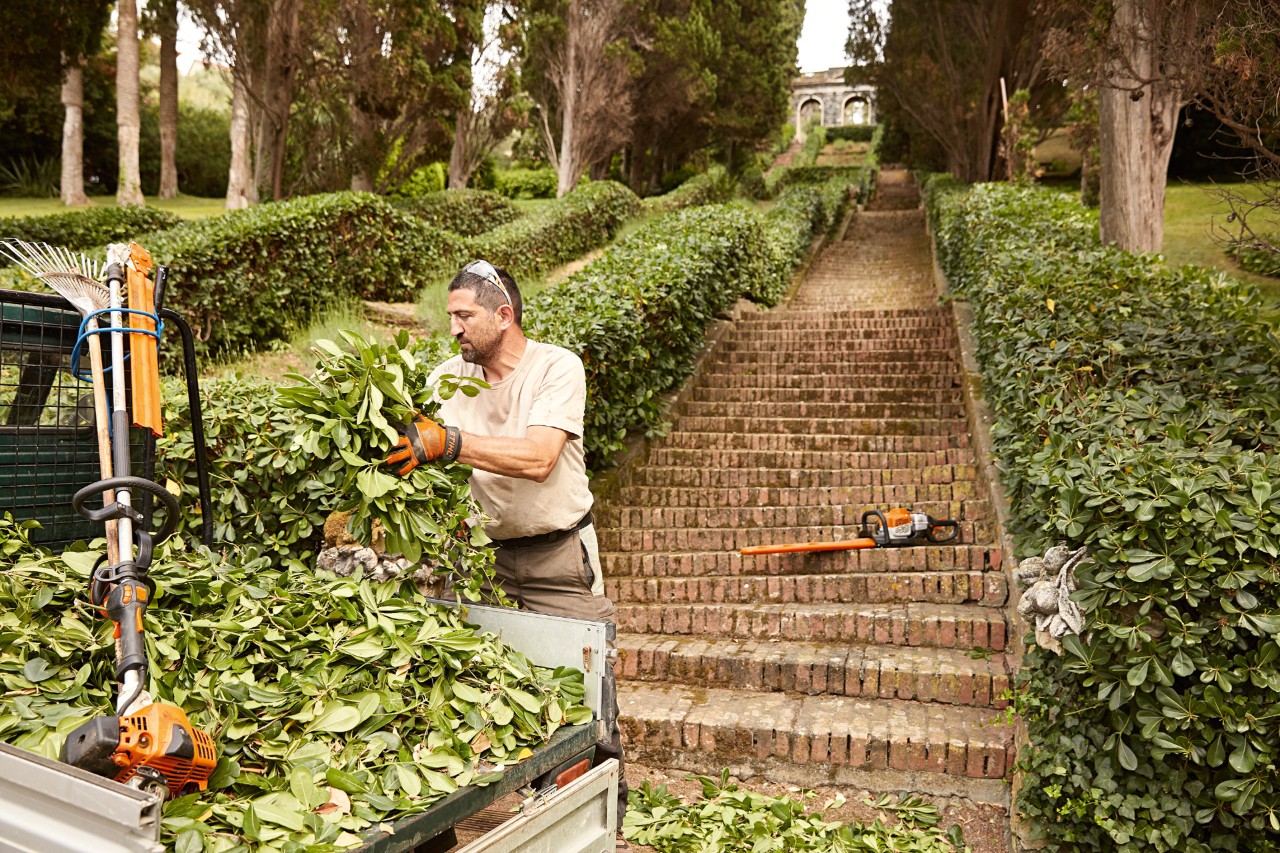 A man wearing gloves picks up an armful of trimmings from a truck bed, with neat hedges and steps behind