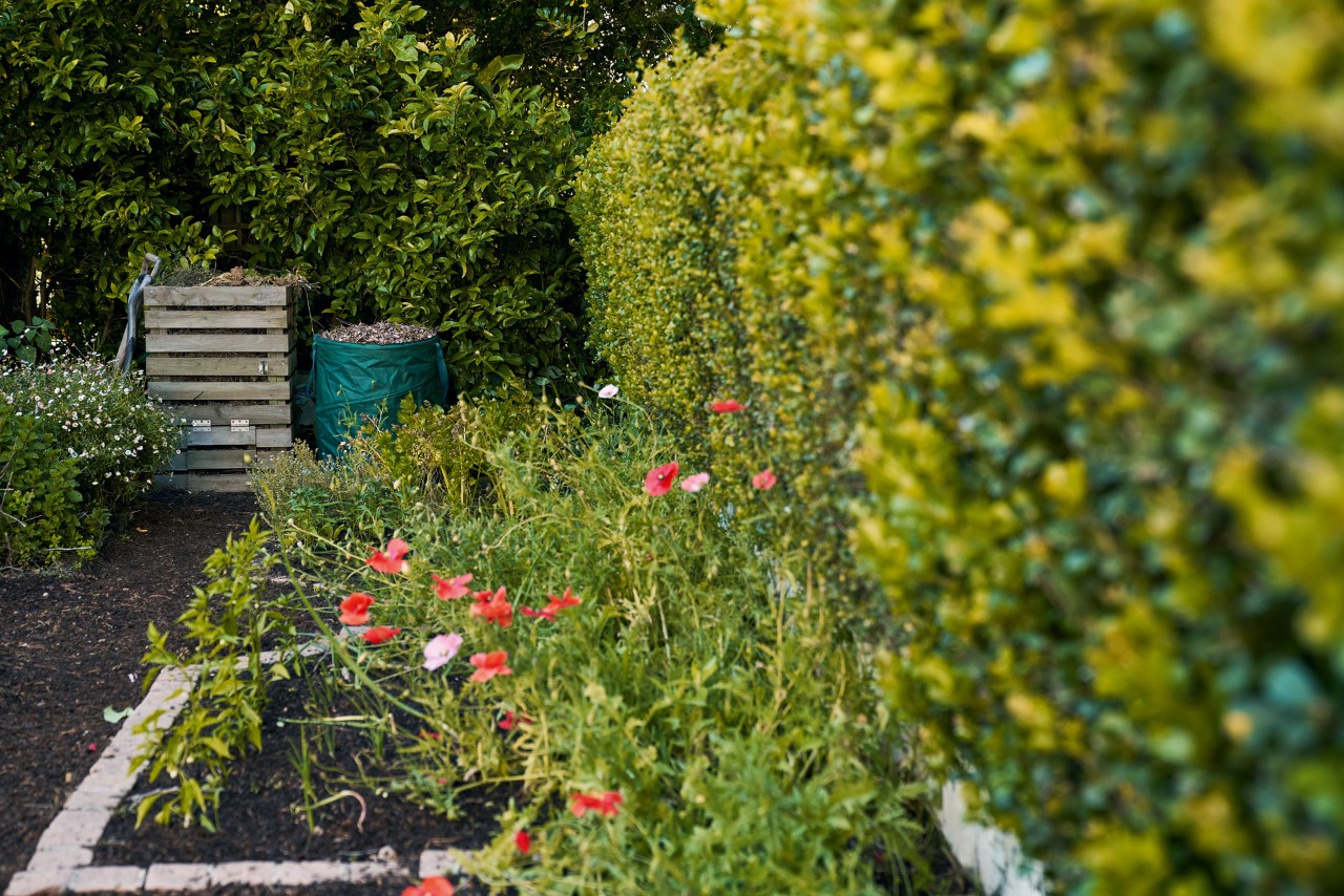 A garden corner with flower bed, hedge and a wooden composter and leaf bin