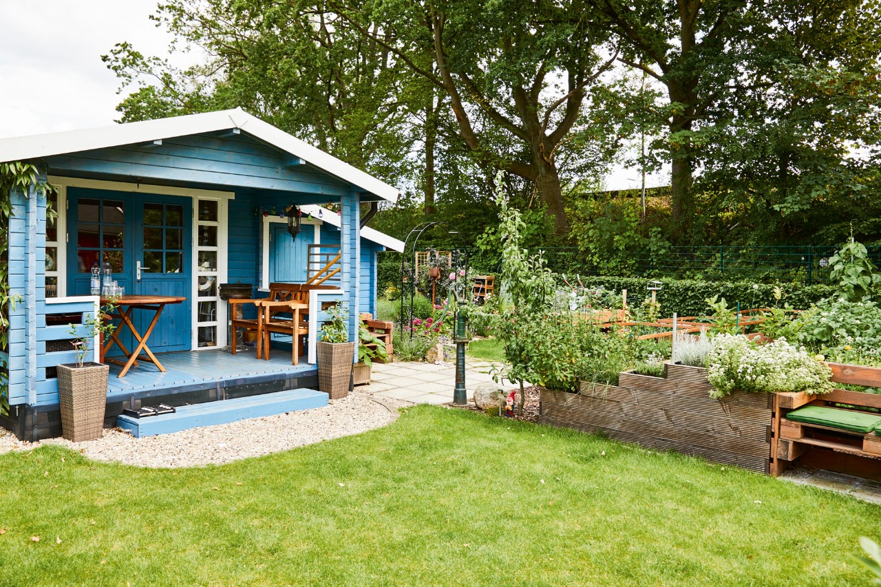 Garden with green lawn in the foreground, bordered by a blue garden building and a stepped raised bed with a bench.