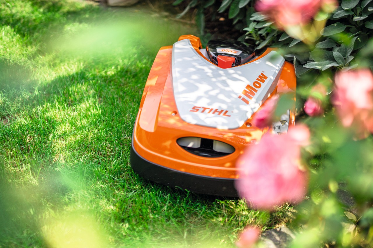 STIHL iMOW® RMI 422 P robot lawn mower on a green lawn behind a blossoming bush