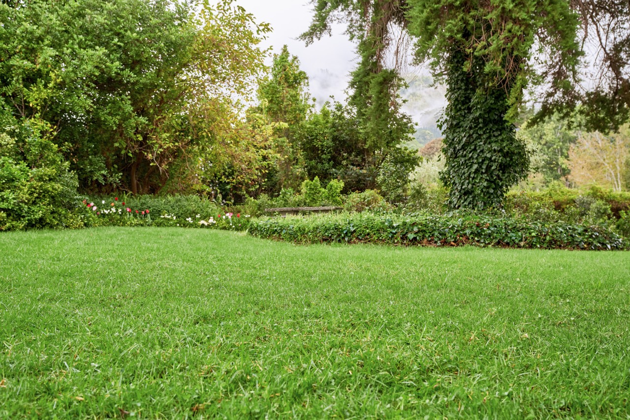 A beautiful, large garden with a well-kept, lush lawn