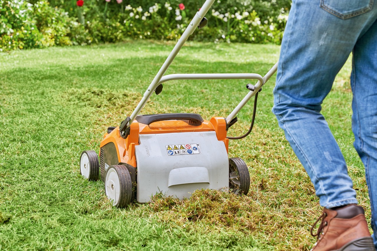 Person scarifying a lawn with a STIHL RLA 240 electric lawn scarifier to prepare it for rejuvenation