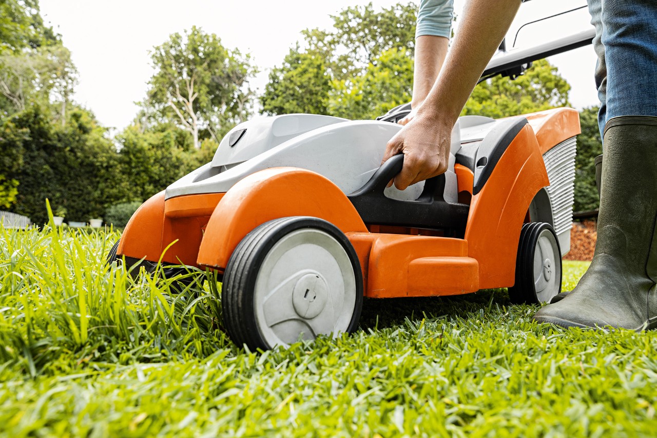A STIHL RMA 339 C cordless lawn mower stands been partly mown lawn, while a person removes the grass collection box