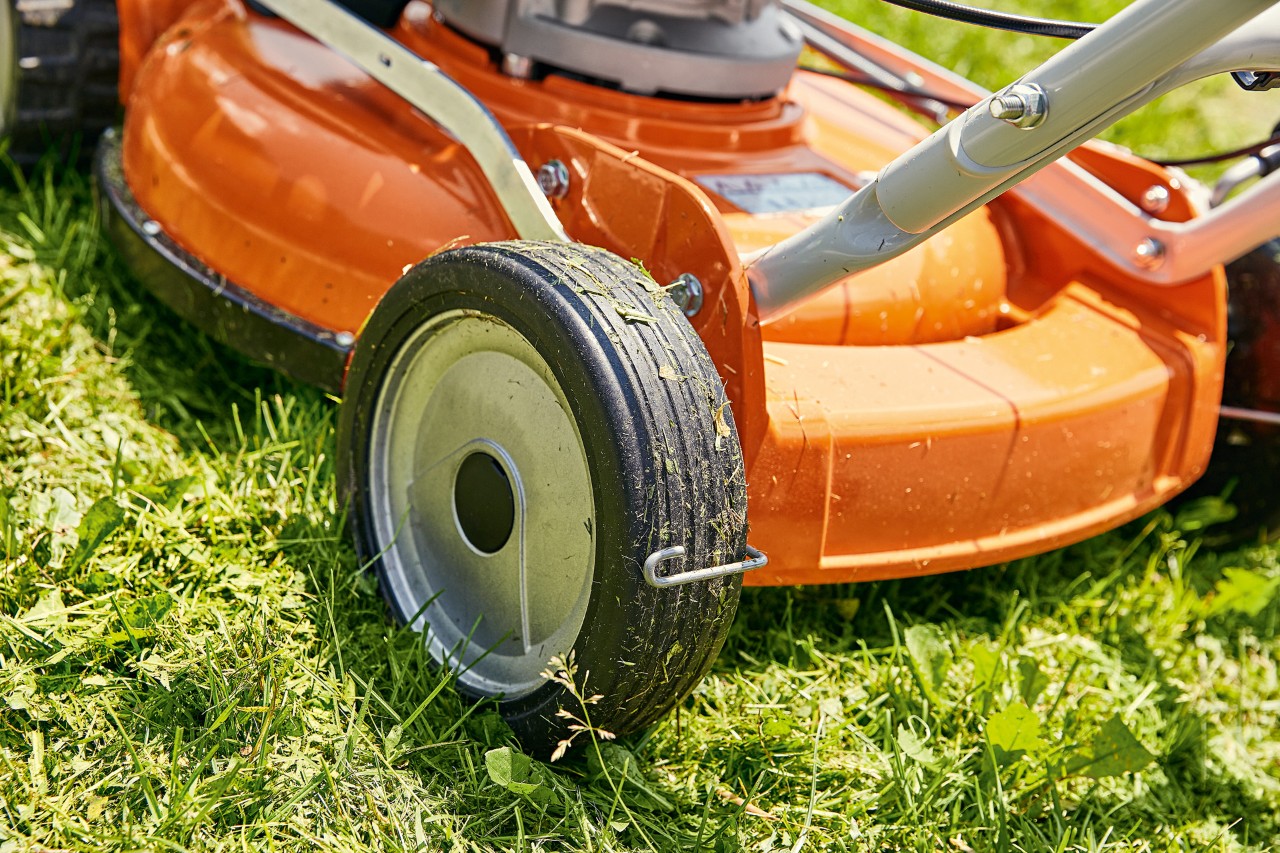 A STIHL RM 2 petrol mulching mower on grass