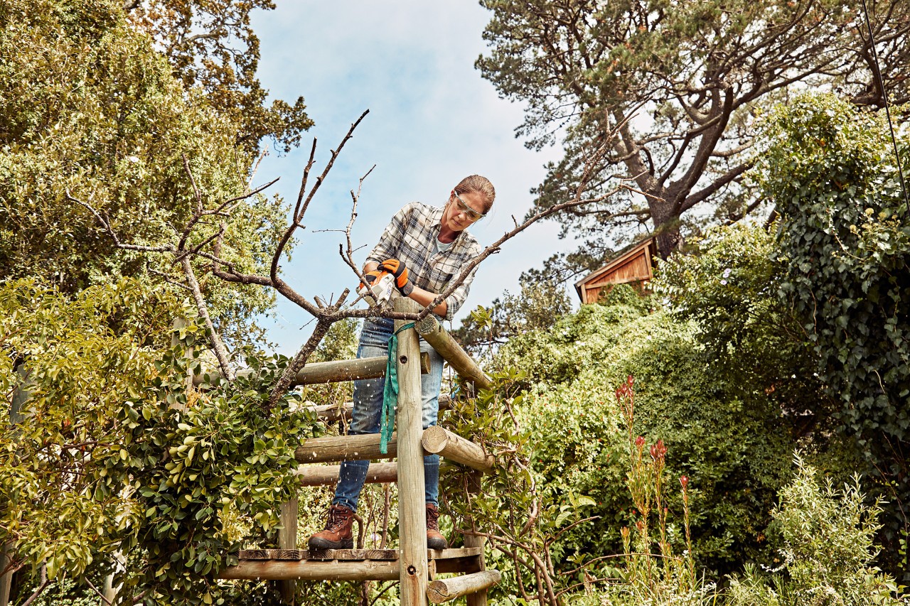 A woman wearing proper PPE stands on a wooden scaffold cutting a branch with the STIHL GTA 26 cordless garden pruner