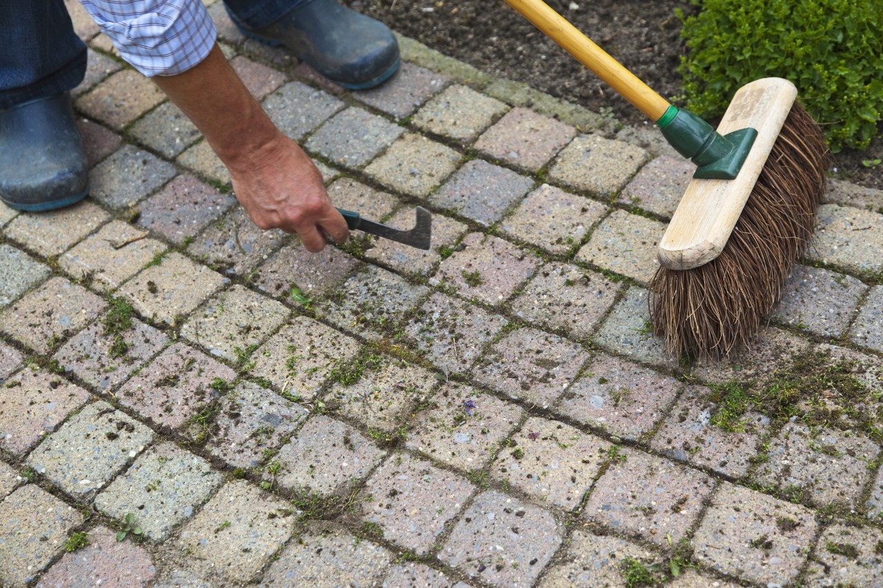 A joint scraper can be used to remove moss and weeds from joints between paving stones 