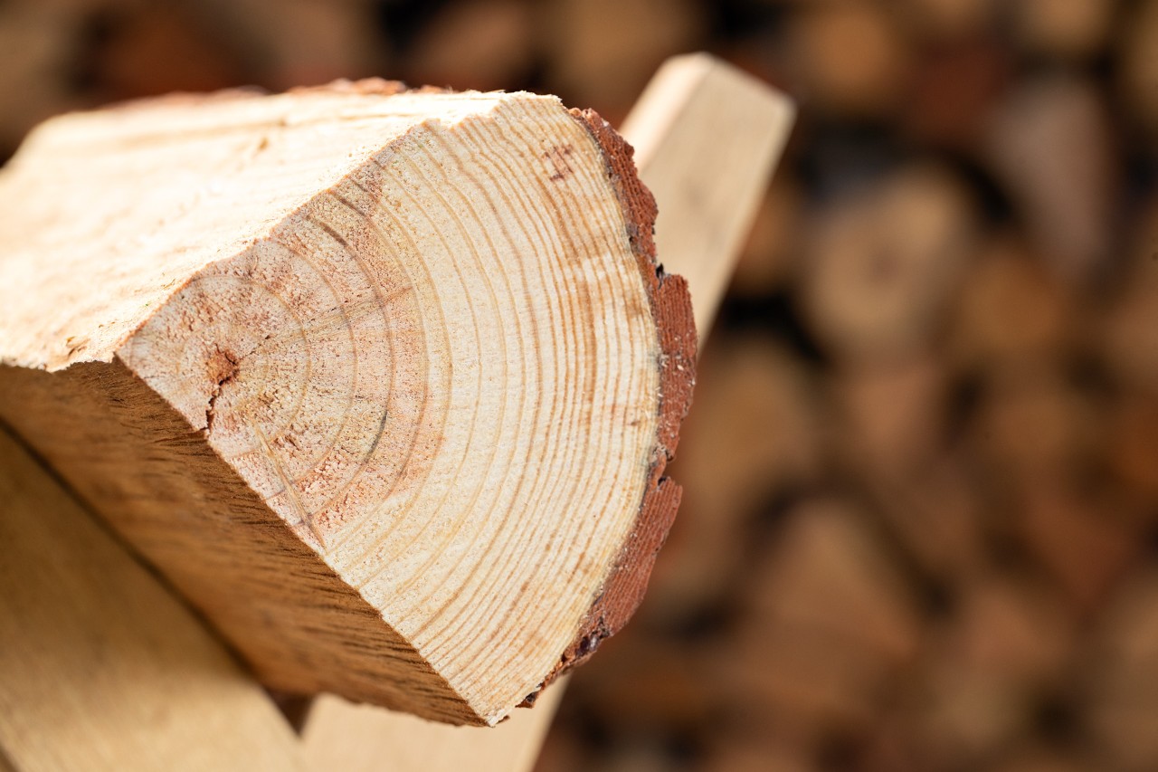 Close-up of a piece of firewood in a sawhorse