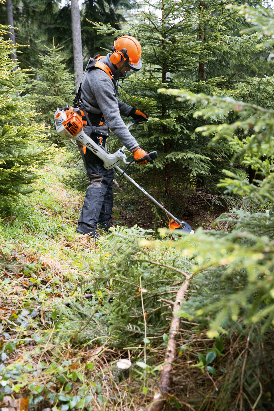 Forestry worker with safety equipment and STIHL grass trimmer wearing an Advance X-treem forestry harness in a forest
