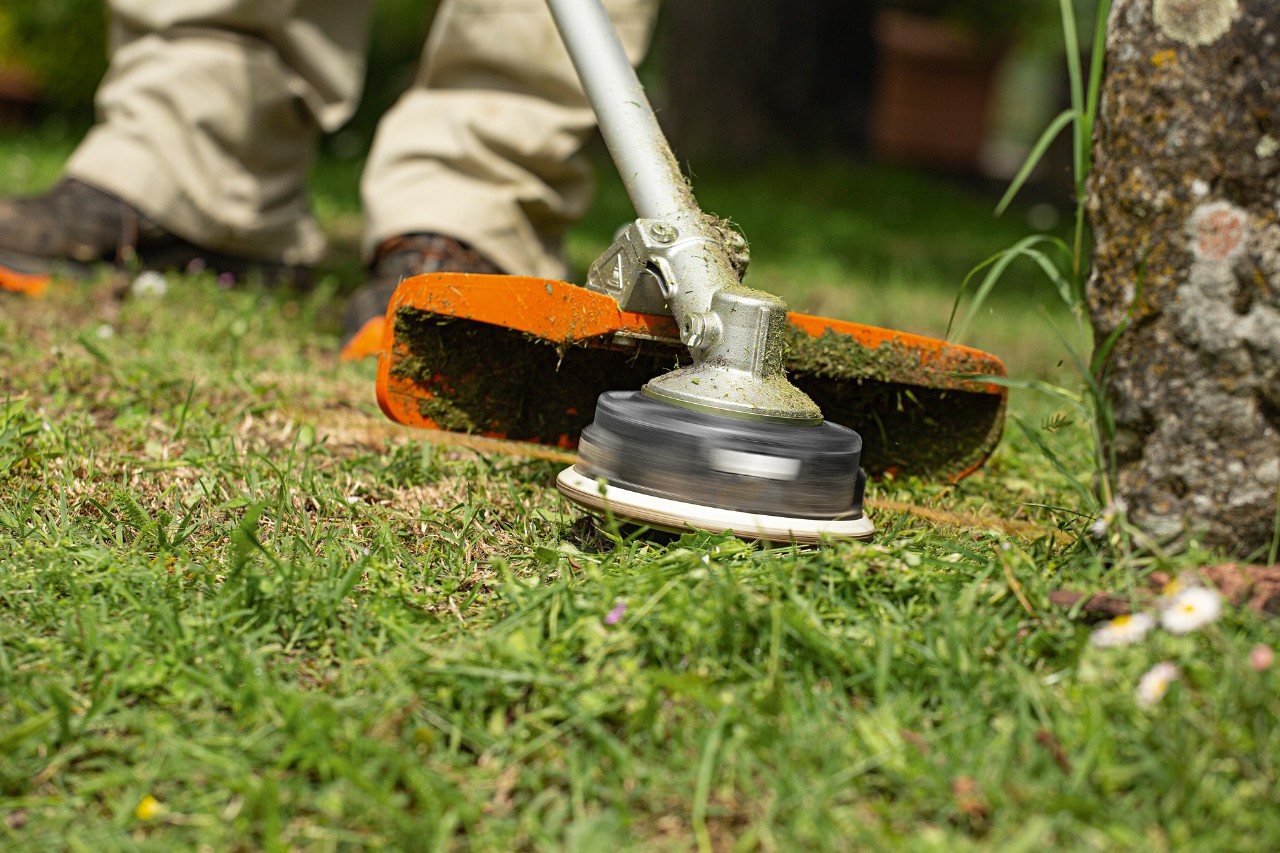 Close-up of a STIHL FS 240 grass trimmer cutting close to the base of a tree