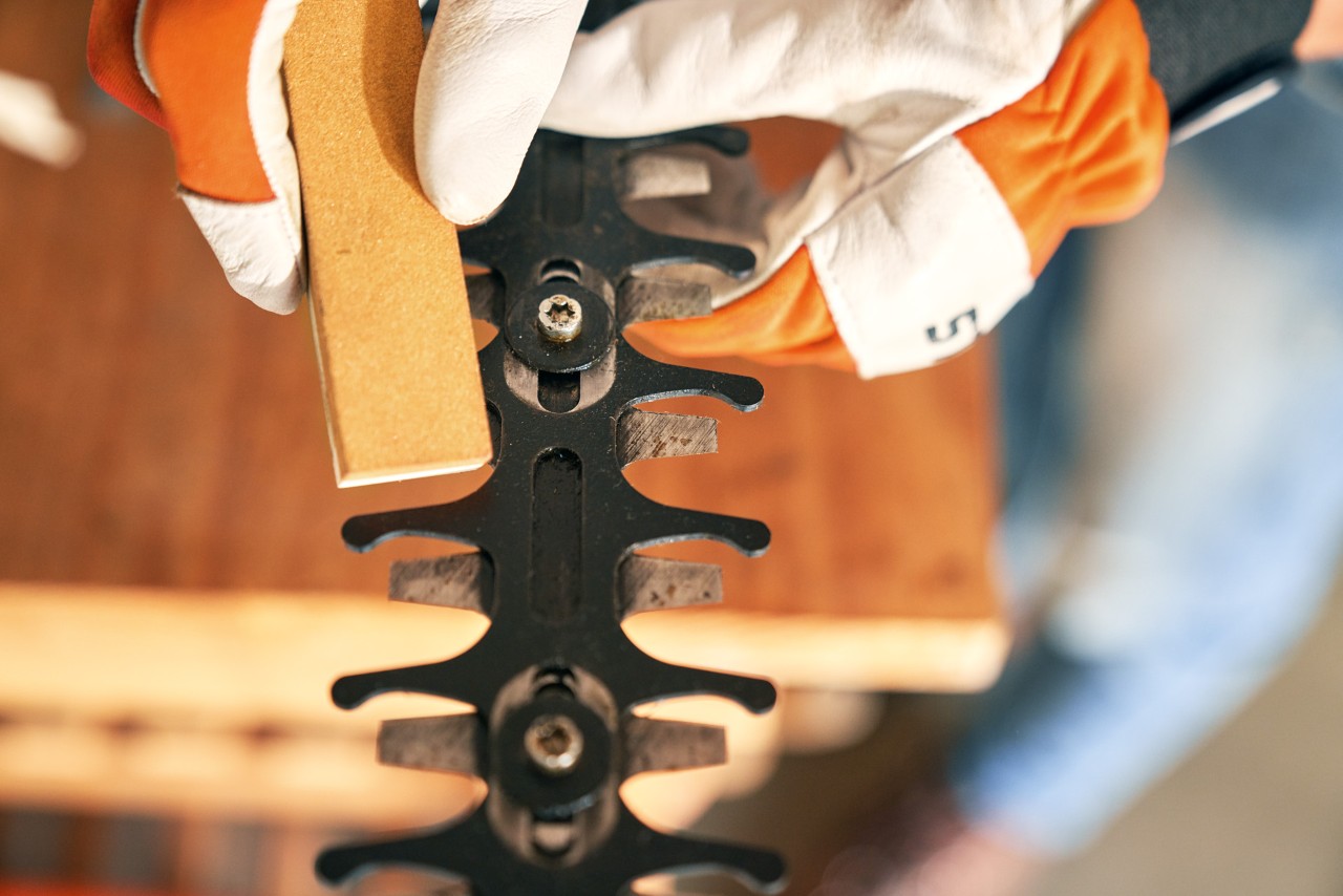 Overhead close-up of several teeth on a hedge trimmer, with gloved hands using a whetstone to remove burrs