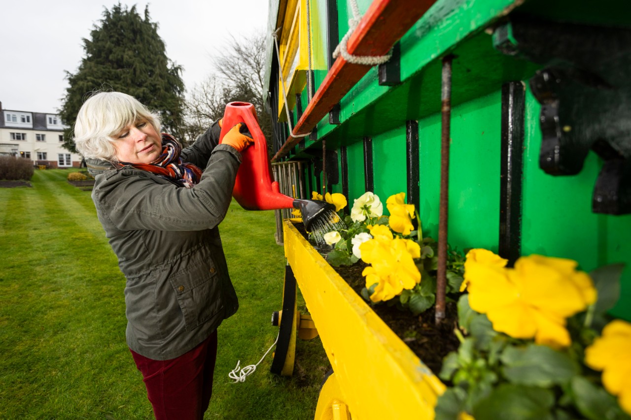 Jane Moore watering yellow flowers in a narrow yellow plant box