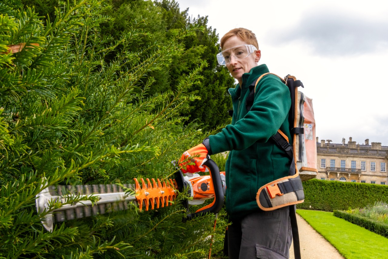 hedge trimming in stately garden