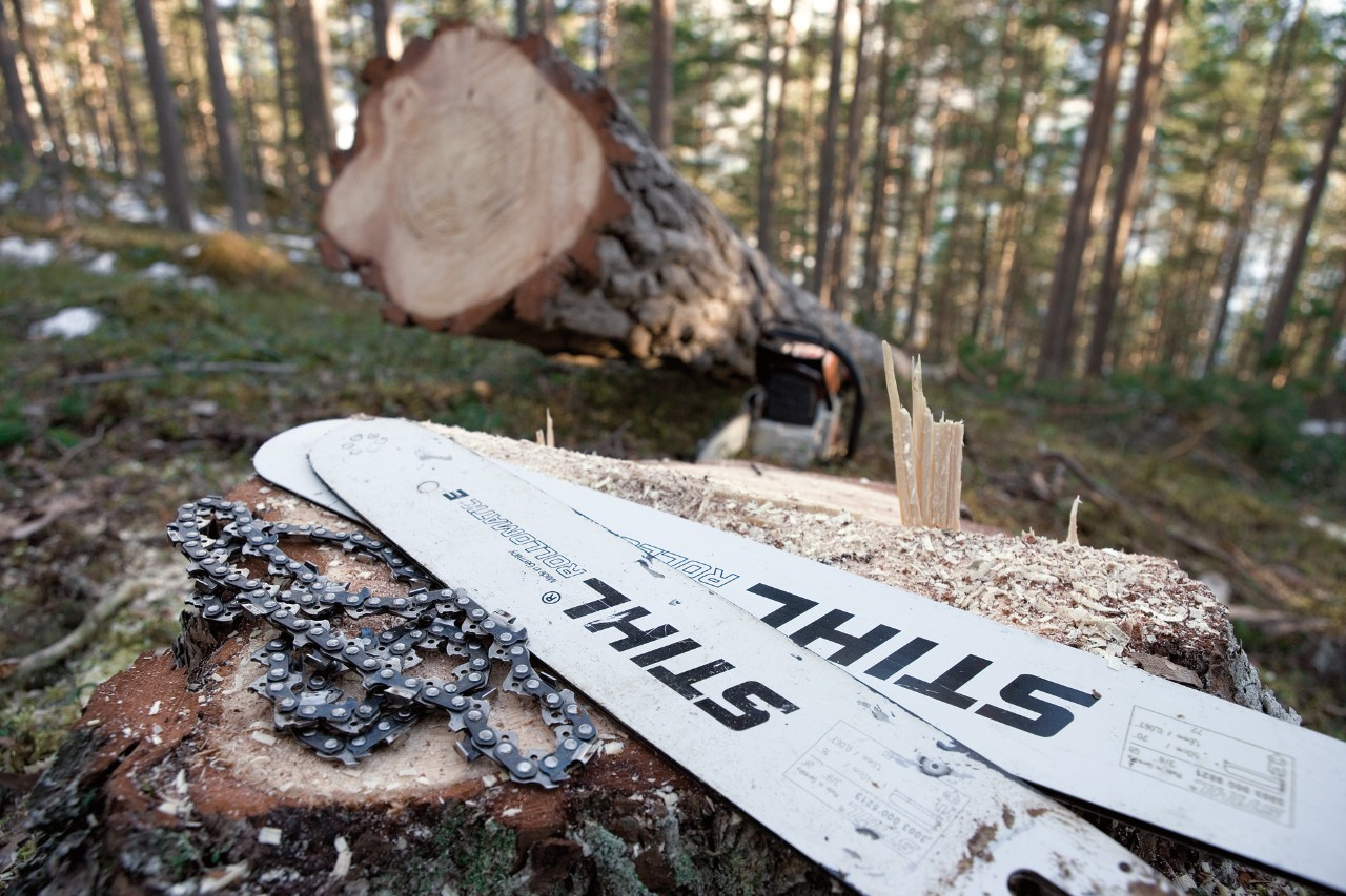 Two Rollomatic guide bars and saw chains lying on a tree stump in the forest