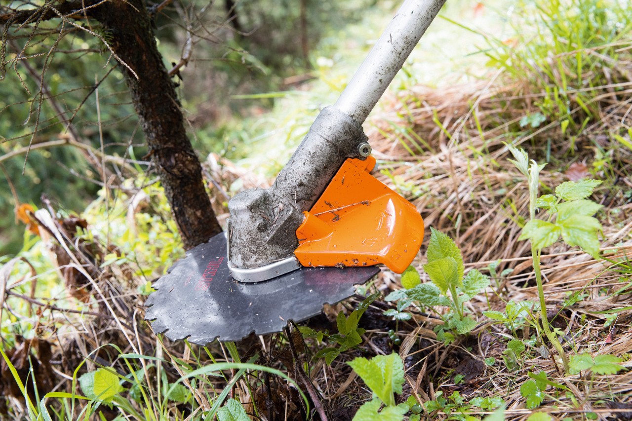 clearing saw
