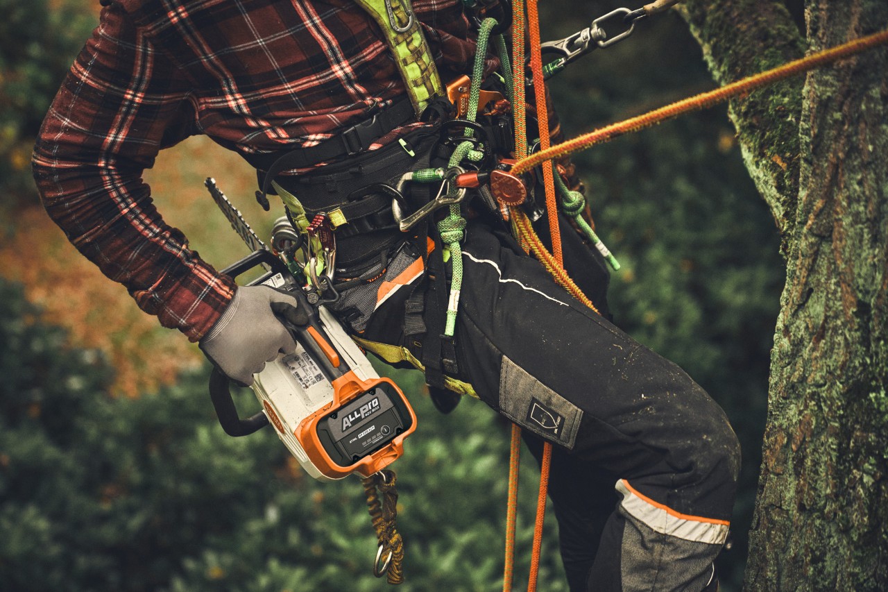 Close-up of a person climbing a tree with the STIHL MSA 190 T cordless chainsaw.