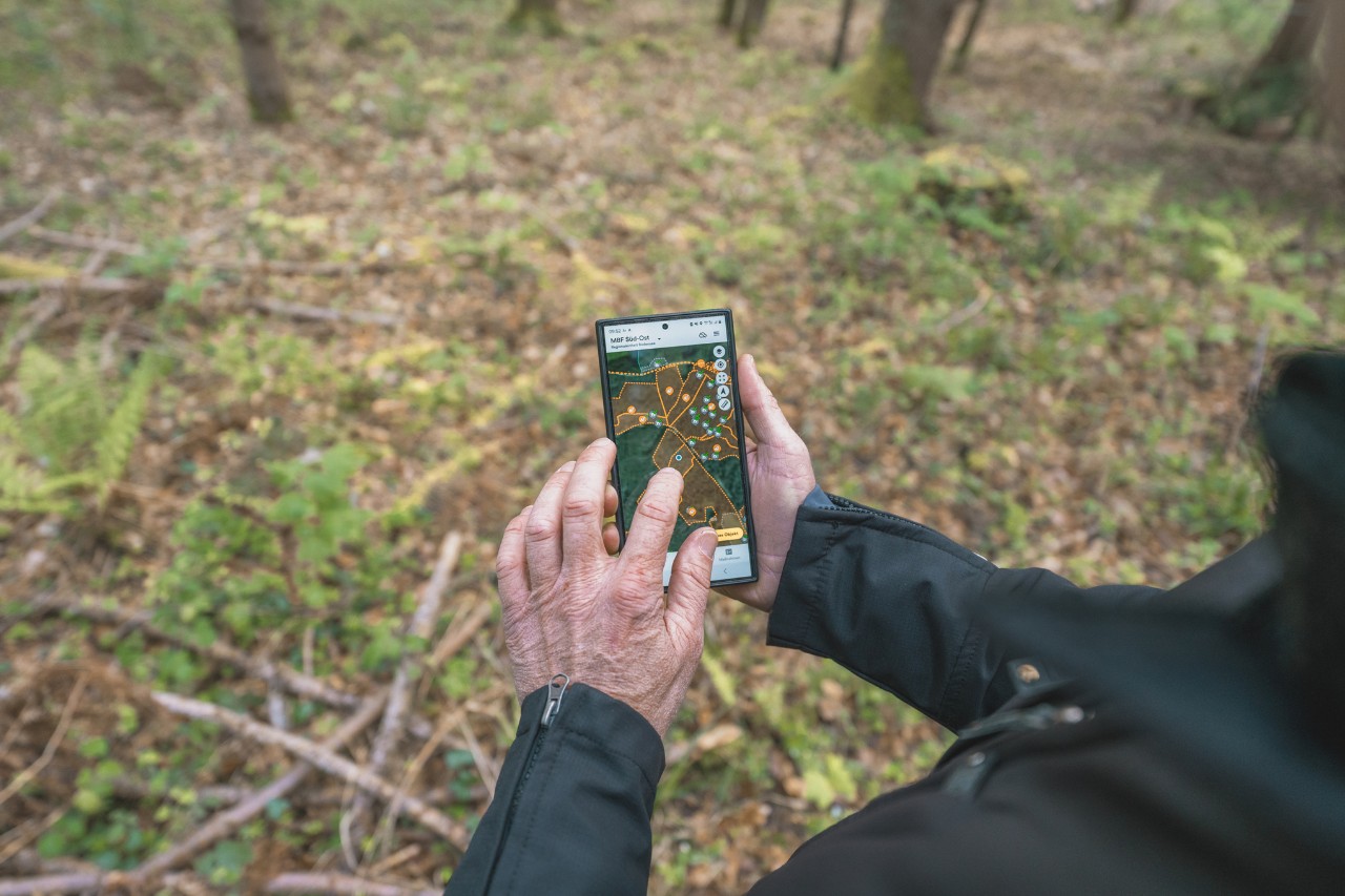 Close-up of a man holding a mobile phone showing a map of a forest area with marked points