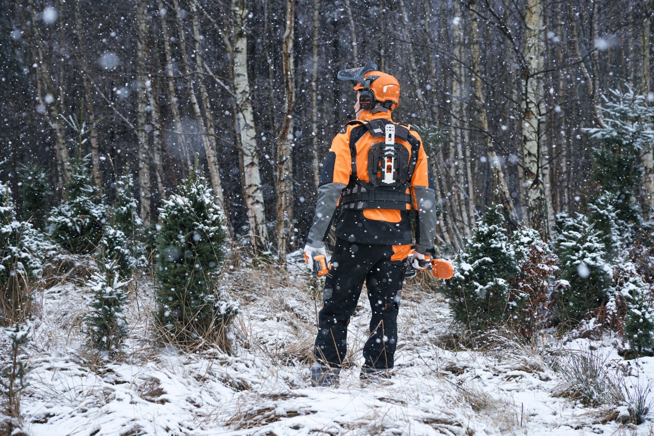 In a snowy forest, rear view of a forestry worker wearing STIHL protective equipment with a modular harness system and battery-powered tools for maintaining young tree stands