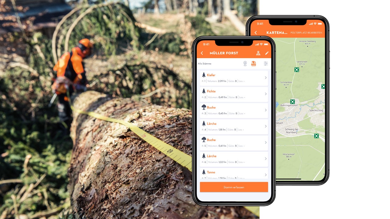 Composition of a tree with a measuring tape and smartphone displays with the STIHL Holzliste app