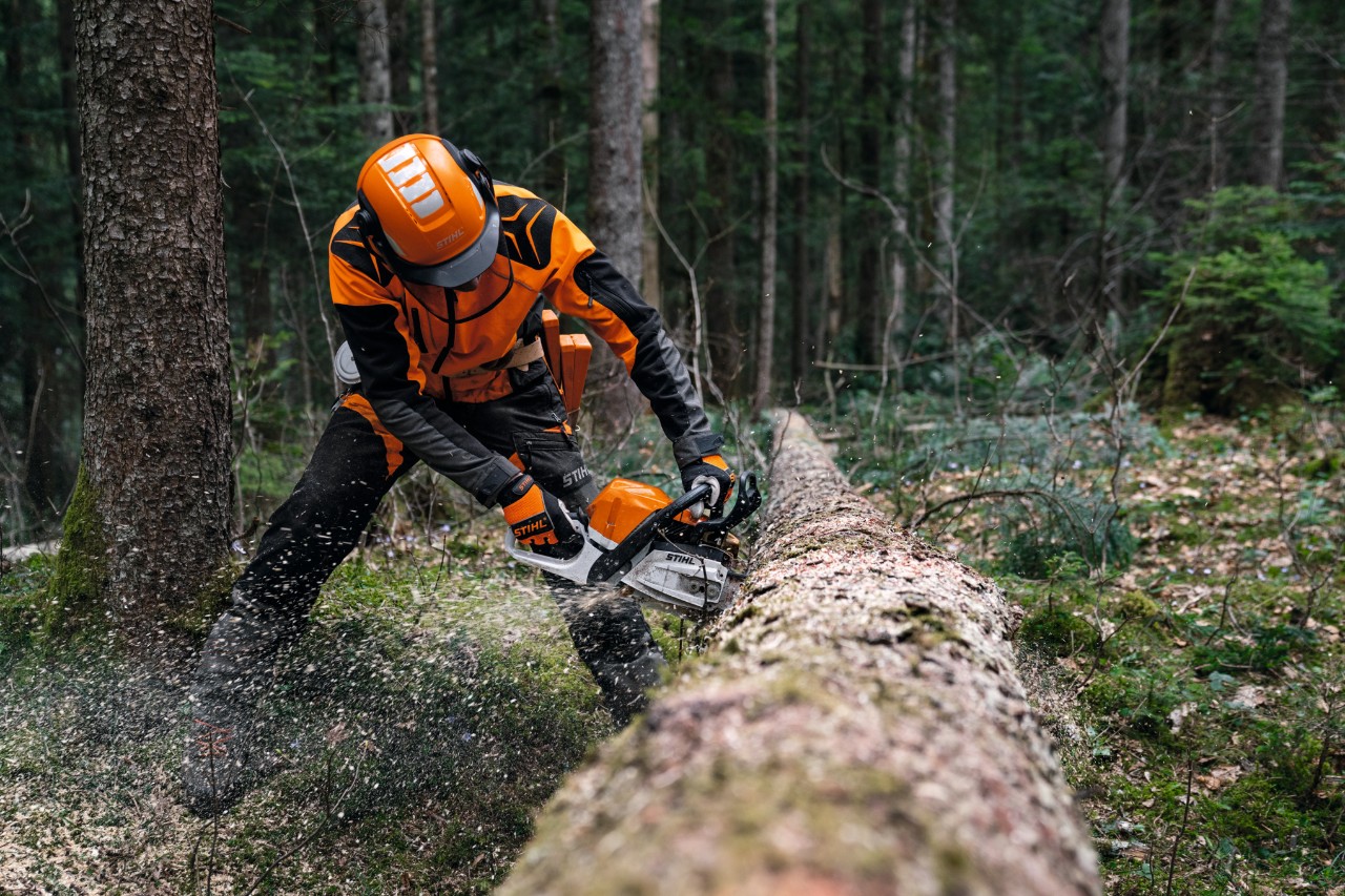 Forestry worker using MS 400 C-M chainsaw on fallen tree