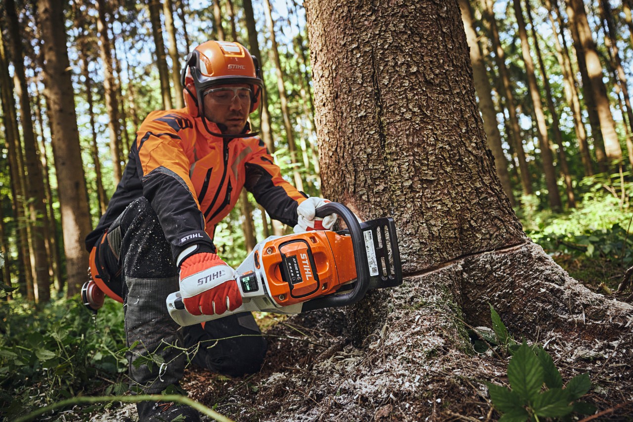 Man felling tree with STIHL MSA 300 battery-powered chainsaw