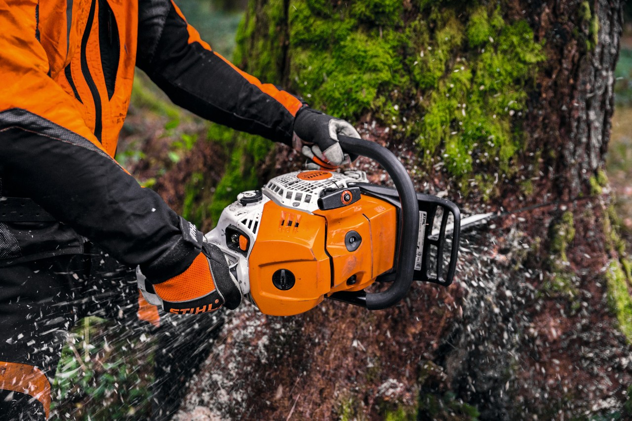 Man with chainsaw STIHL MS 500i close-up cutting a tree trunk