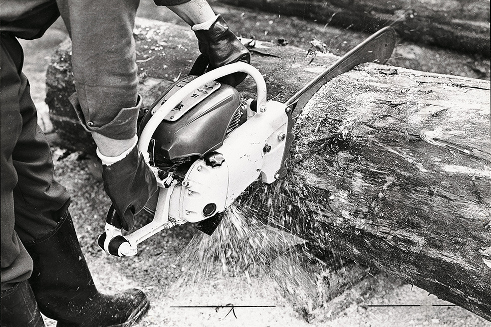 Old black and white shot of someone cutting a tree with the STIHL Contra chainsaw 