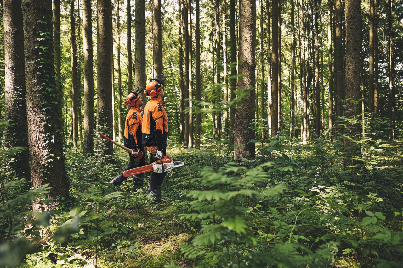 Two men wearing protective equipment walking through a forest carrying a forestry hatchet and a STIHL cordless chainsaw and looking upwards