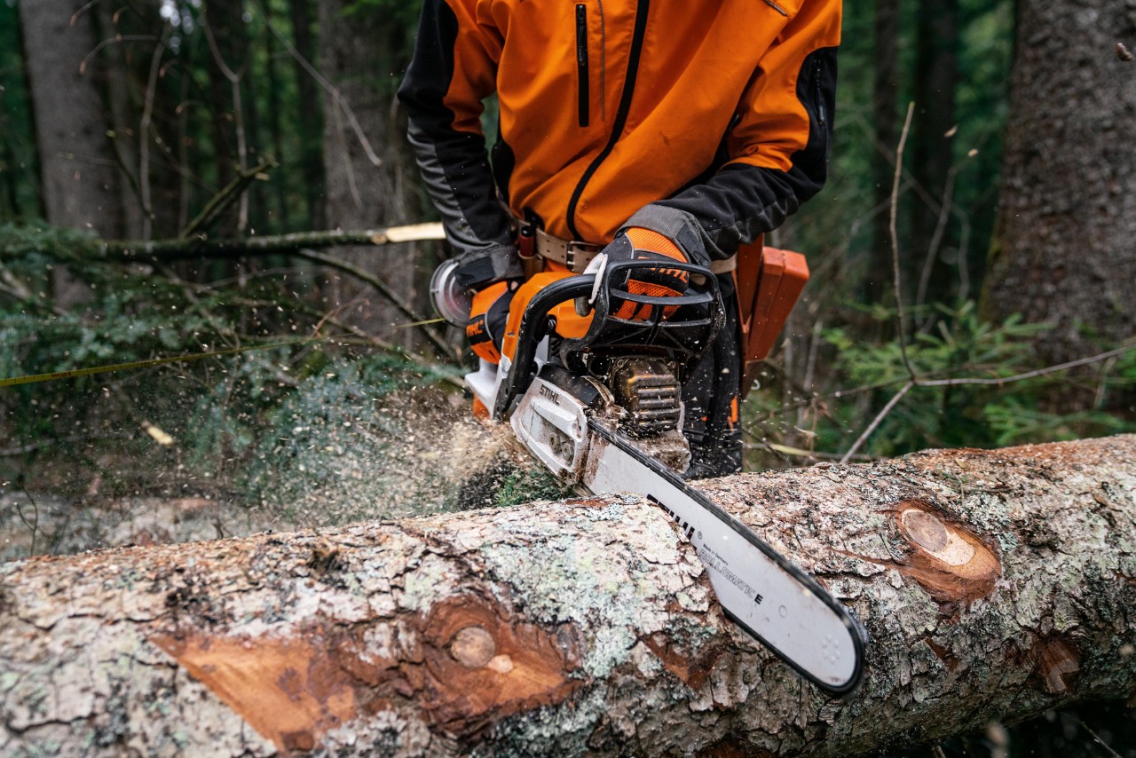 A felled tree trunk being sawn on the ground using a STIHL MS 400 C-M petrol chainsaw featuring magnesium piston