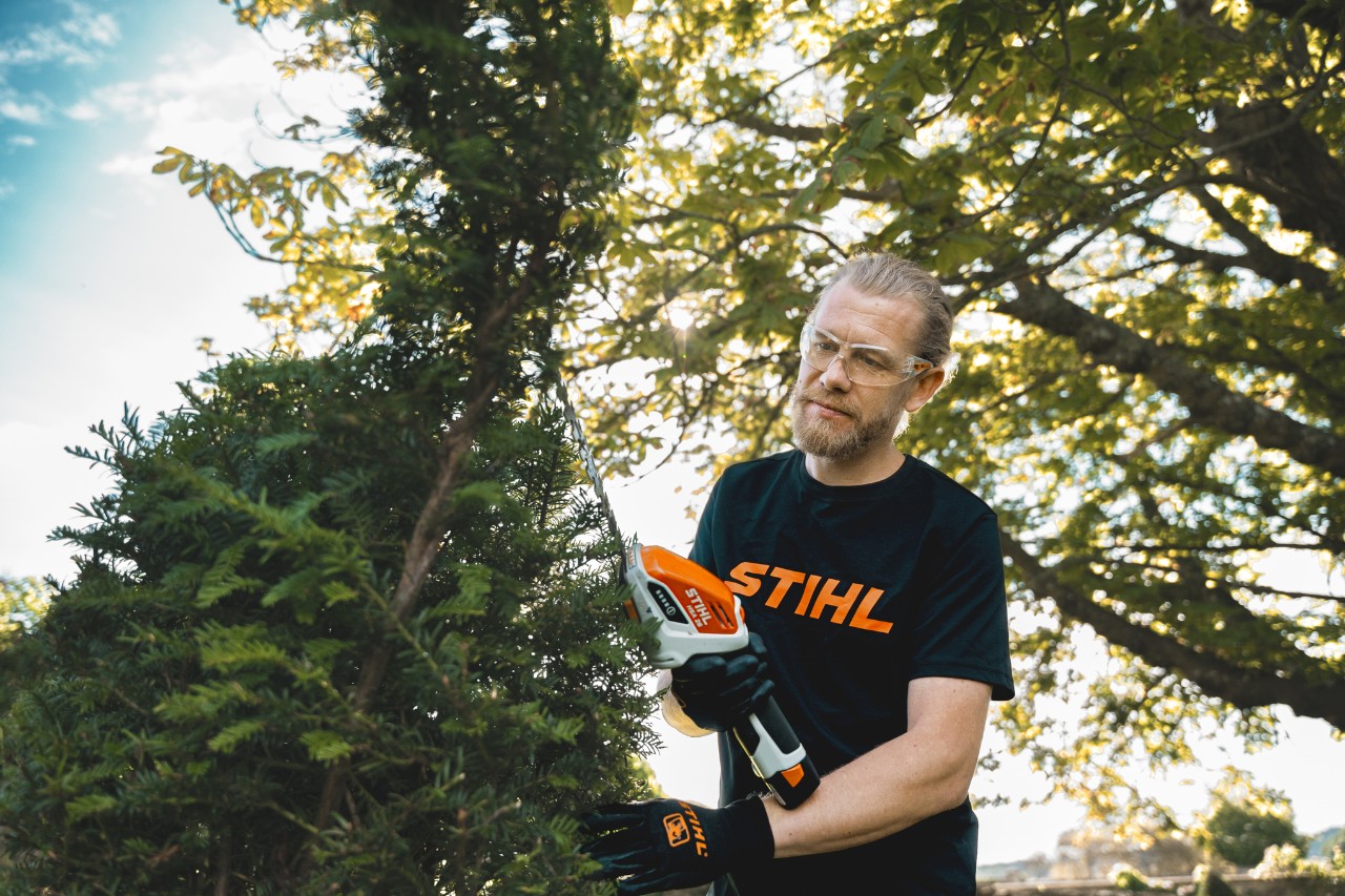 Andrew Wain reshapes an out-of-shape bush