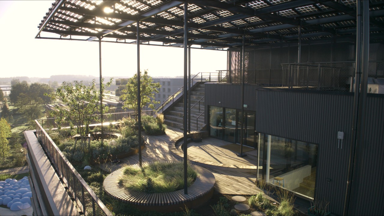 Image of a green campus area
