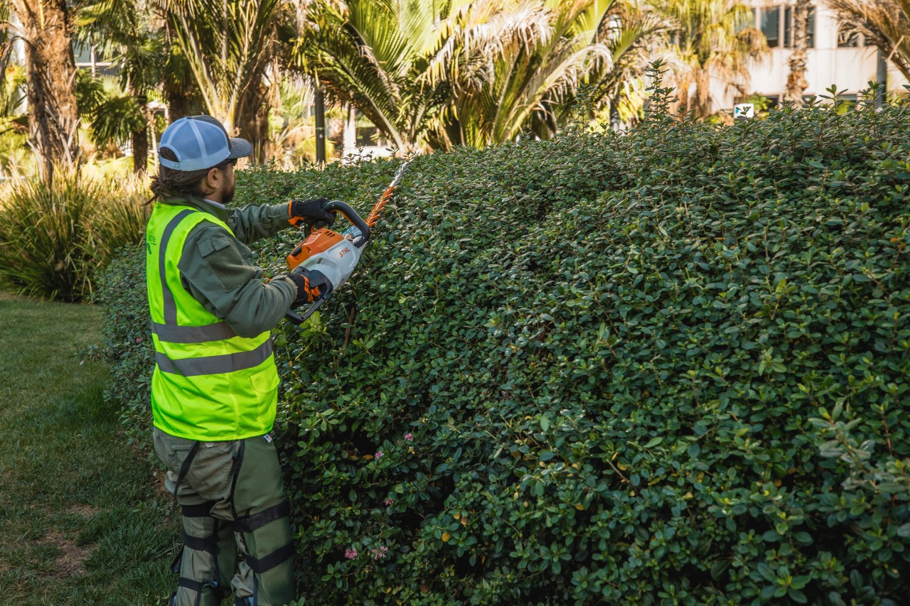 We see landscaping gardeners maintaining the green areas in front of the buildings.