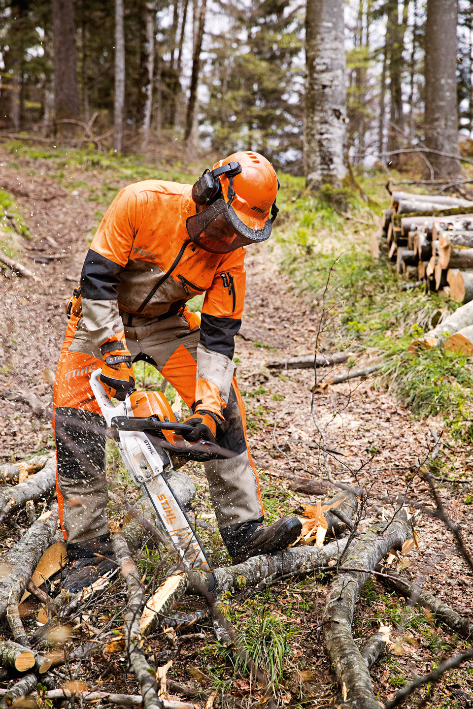Combination of ear protection equipment for professional work in a forest