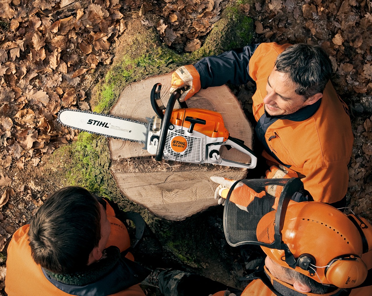 Overhead view of a STIHL MS 261 petrol chainsaw on a tree stump, with people wearing protective gear around it