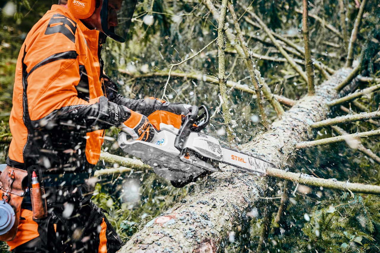 A man in protective equipment delimbing a felled tree using a STIHL petrol chainsaw with M-Tronic and Light 04 guide bar