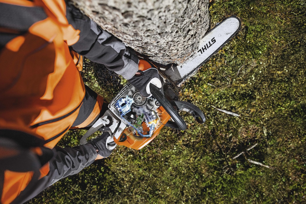 An overhead view of a tree being cut down with a STIHL MS 261 C-M chainsaw